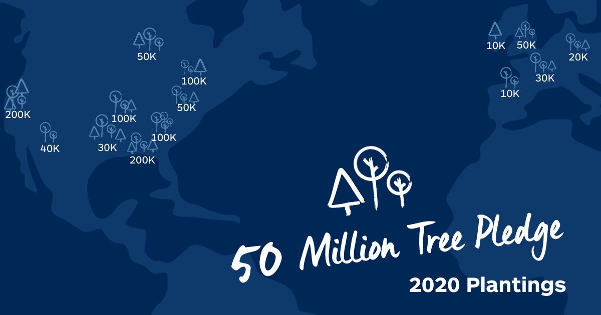 Graphic with plan to plant trees towards the 50 million tree pledge in 2020