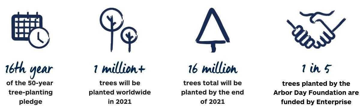 Information on the tree planting pledge