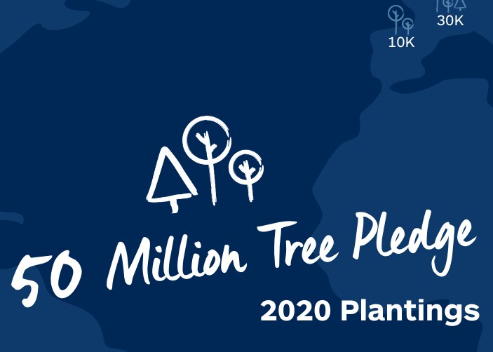 Tree Planting Graphic