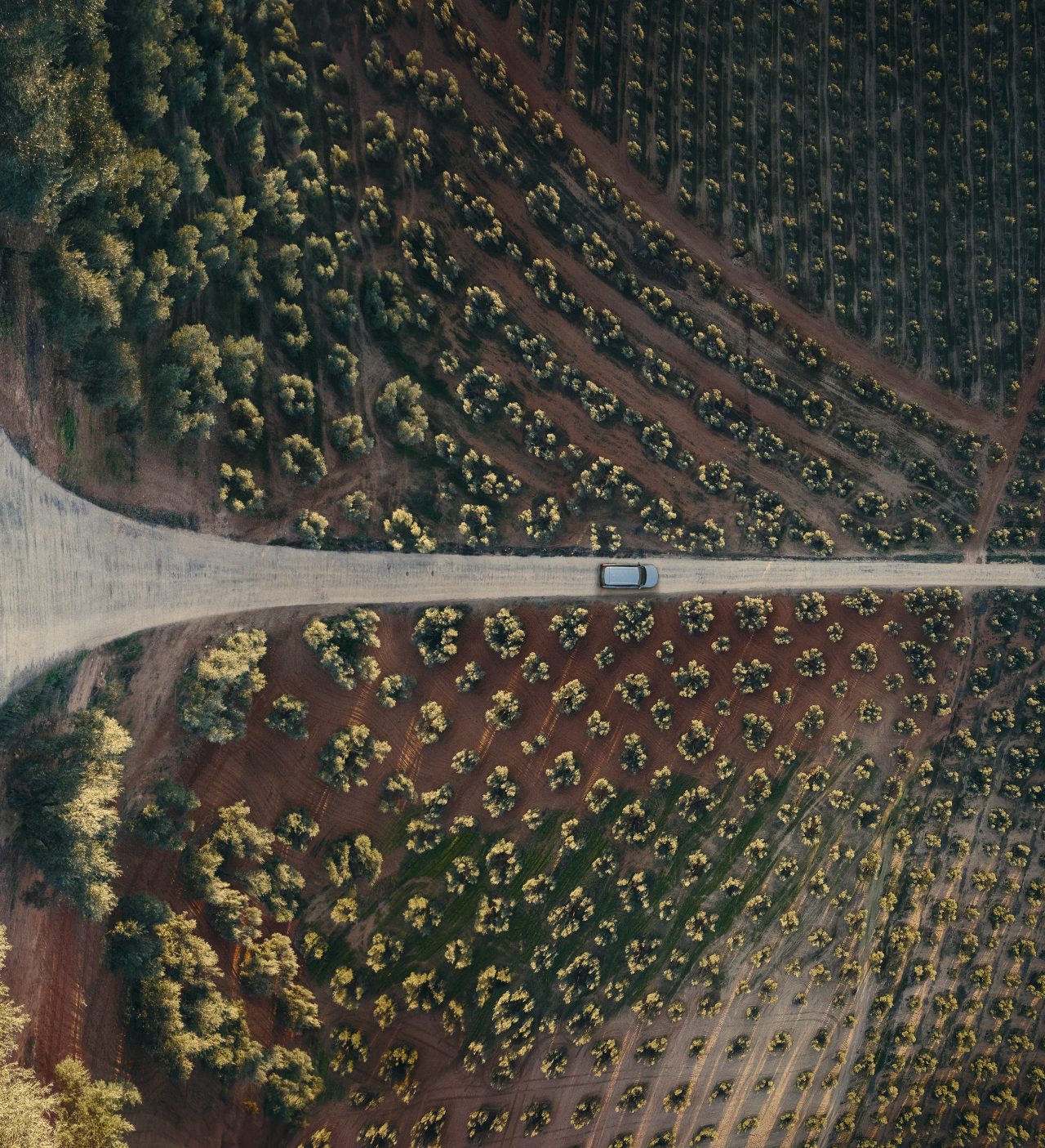 Employee group photo