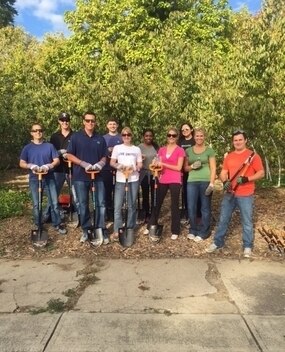 Employee group photo after planting trees